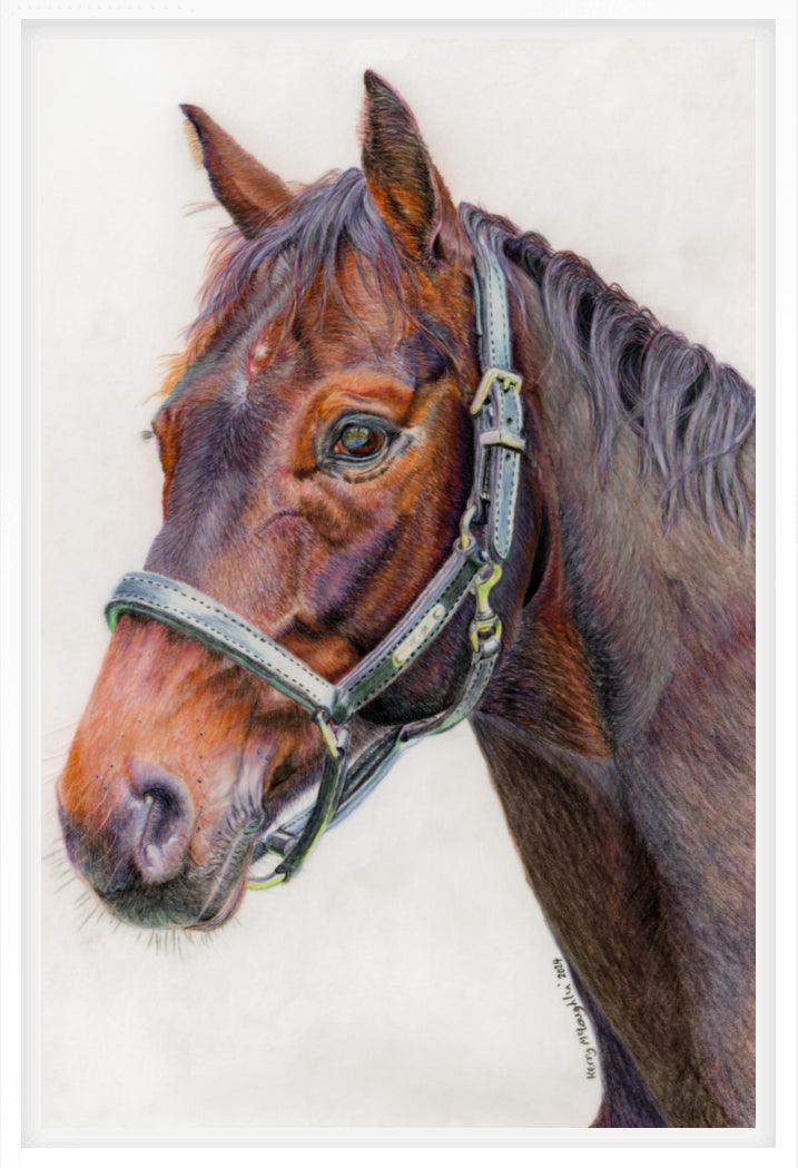 "Principles" Canvas Print