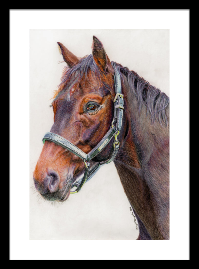 "Principles" Framed Fine Art Print