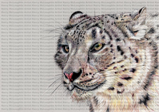 "Adaptation" Framed Fine Art Print