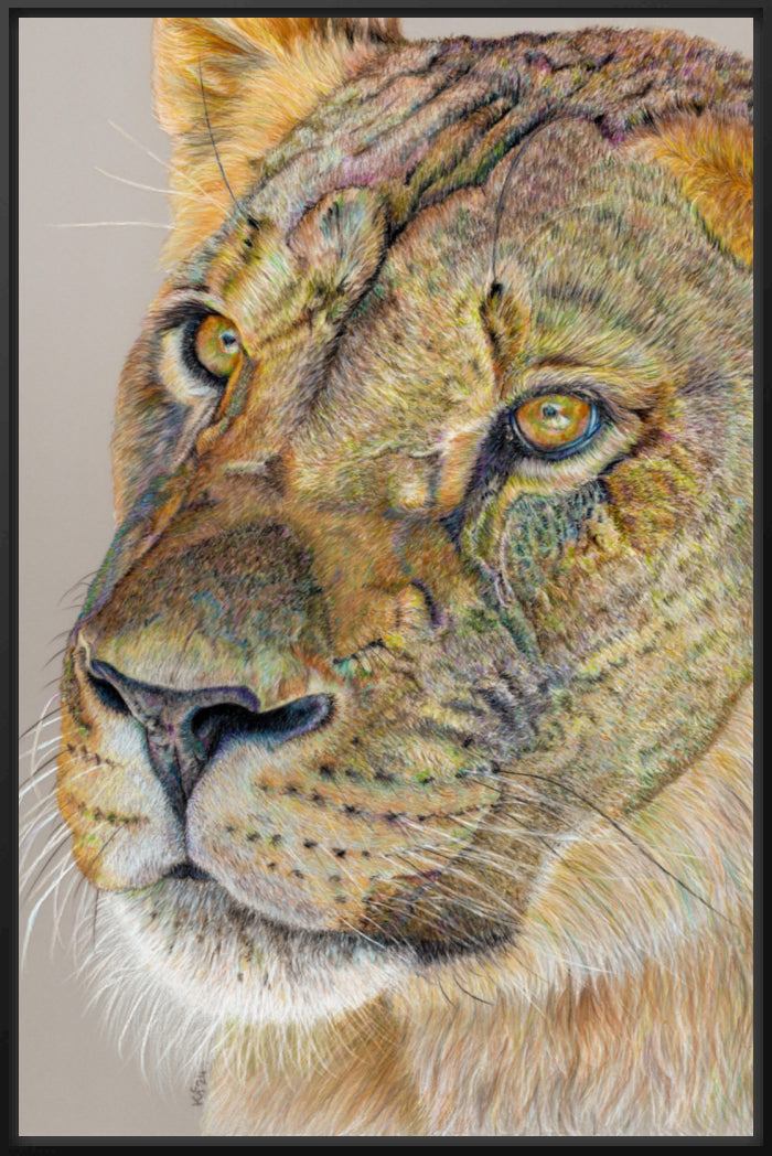 "Story Lines" Canvas Print