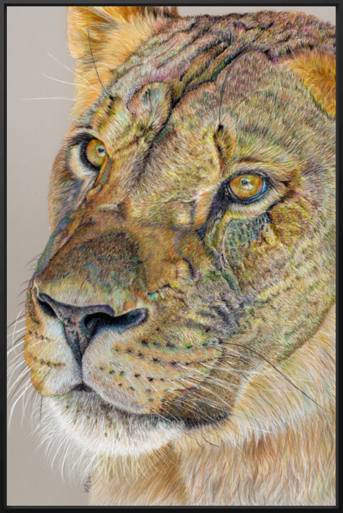 "Story Lines" Canvas Print