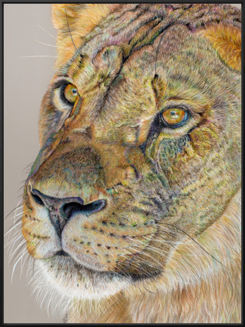 "Story Lines" Canvas Print