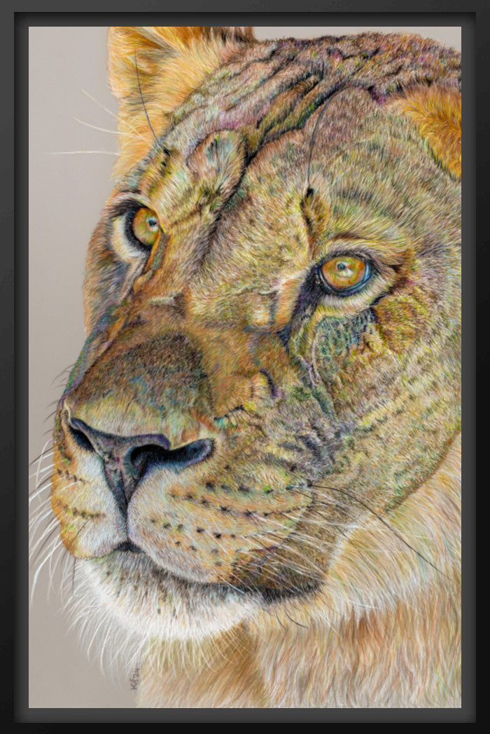 "Story Lines" Canvas Print