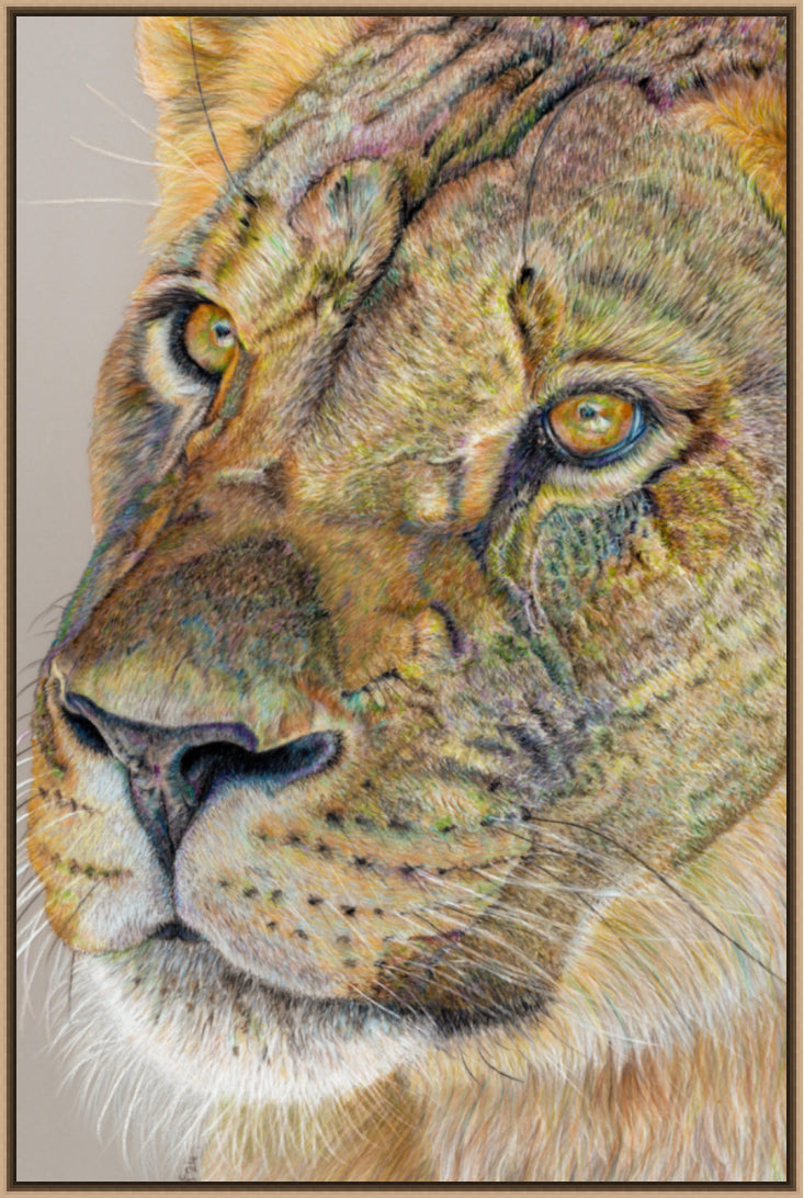 "Story Lines" Canvas Print