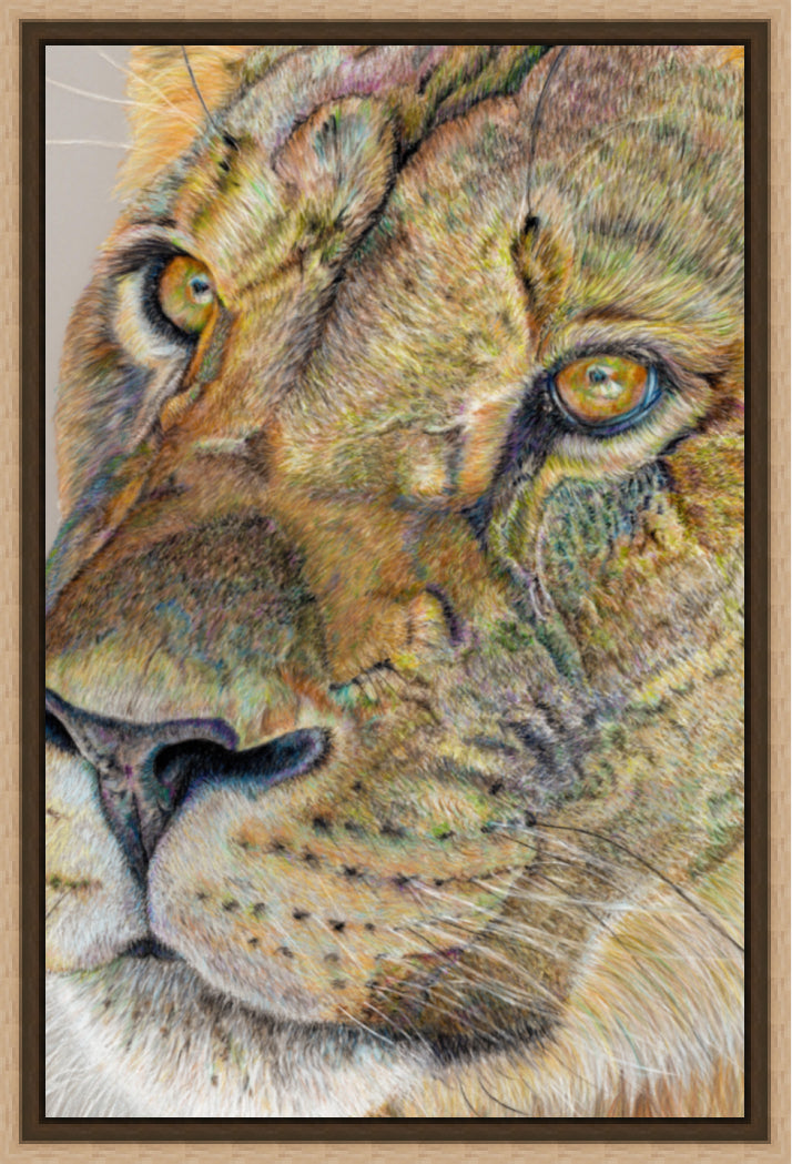 "Story Lines" Canvas Print