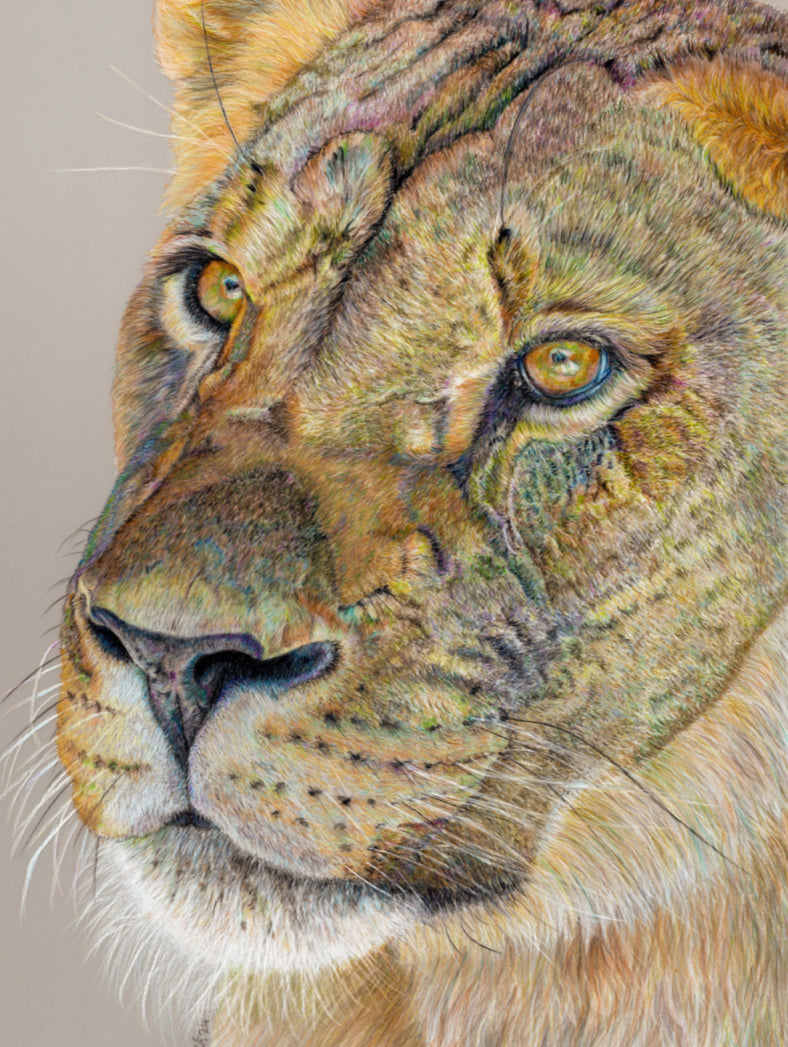 "Story Lines" Canvas Print