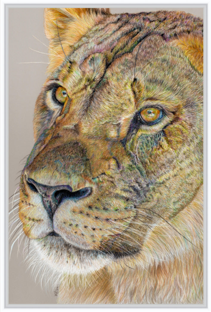 "Story Lines" Canvas Print