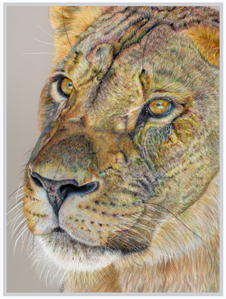 "Story Lines" Canvas Print