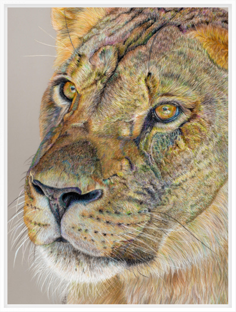 "Story Lines" Canvas Print