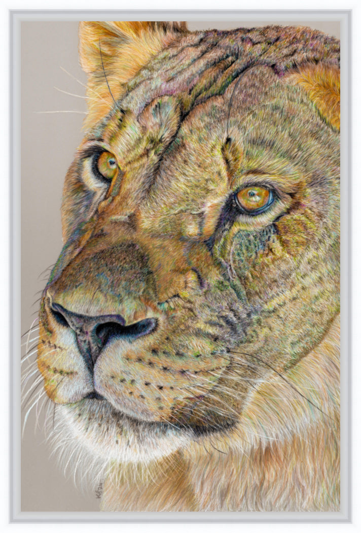 "Story Lines" Canvas Print