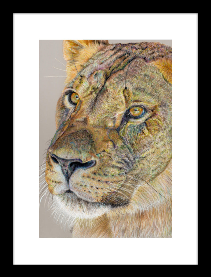 "Story Lines" Framed Fine Art Print