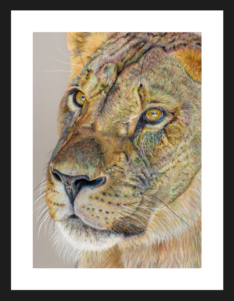 "Story Lines" Framed Fine Art Print