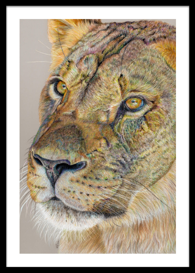 "Story Lines" Framed Fine Art Print