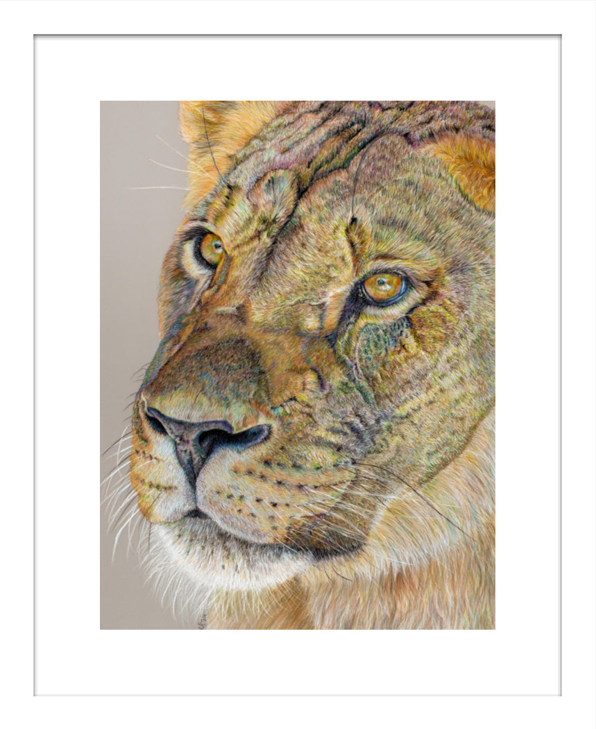 "Story Lines" Framed Fine Art Print