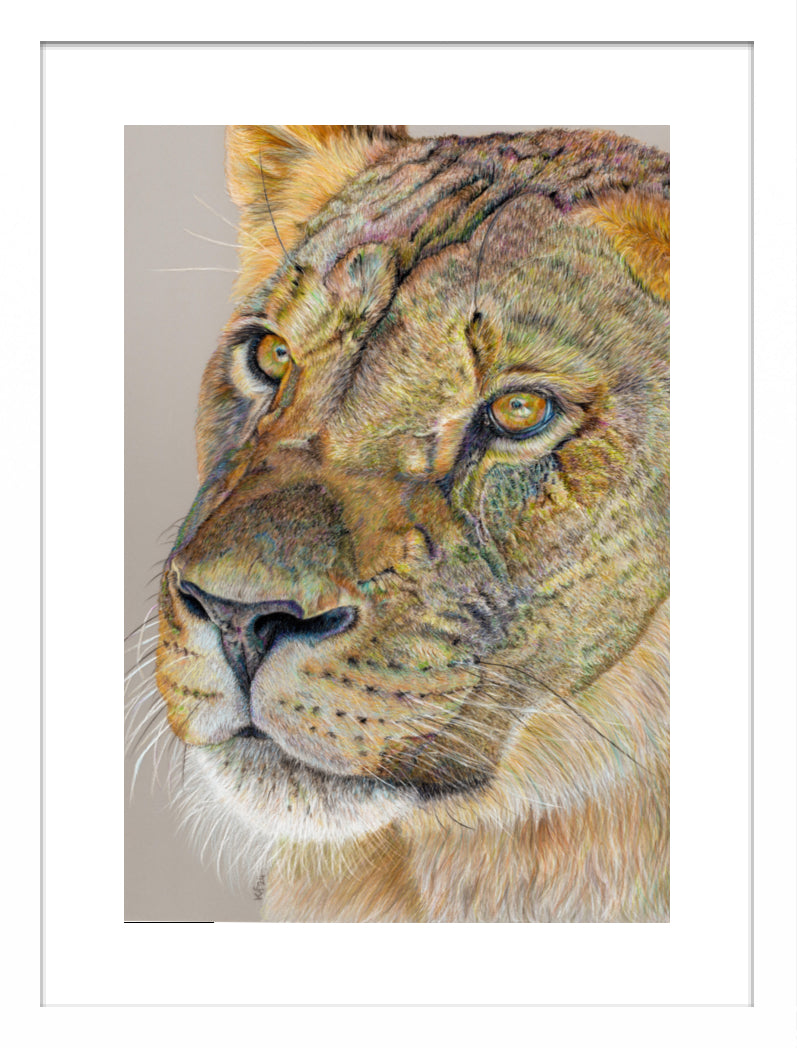 "Story Lines" Framed Fine Art Print