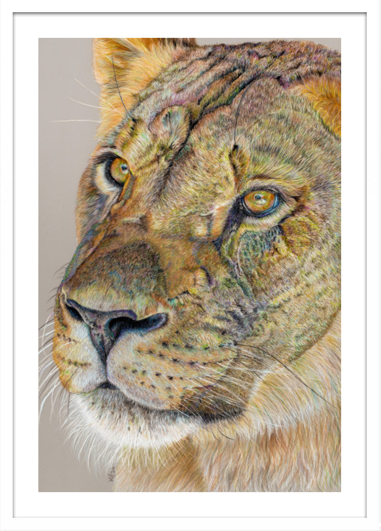 "Story Lines" Framed Fine Art Print