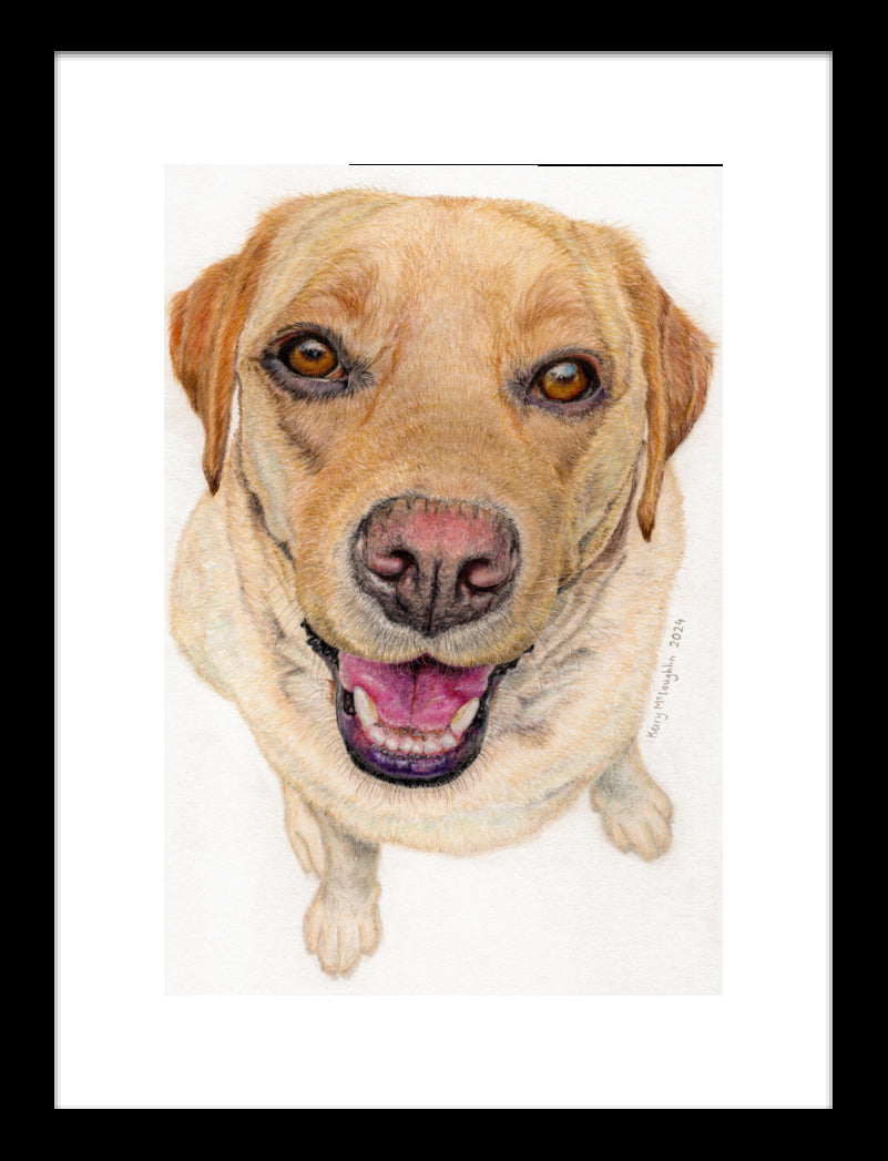 "Sunny" Framed Fine Art Print