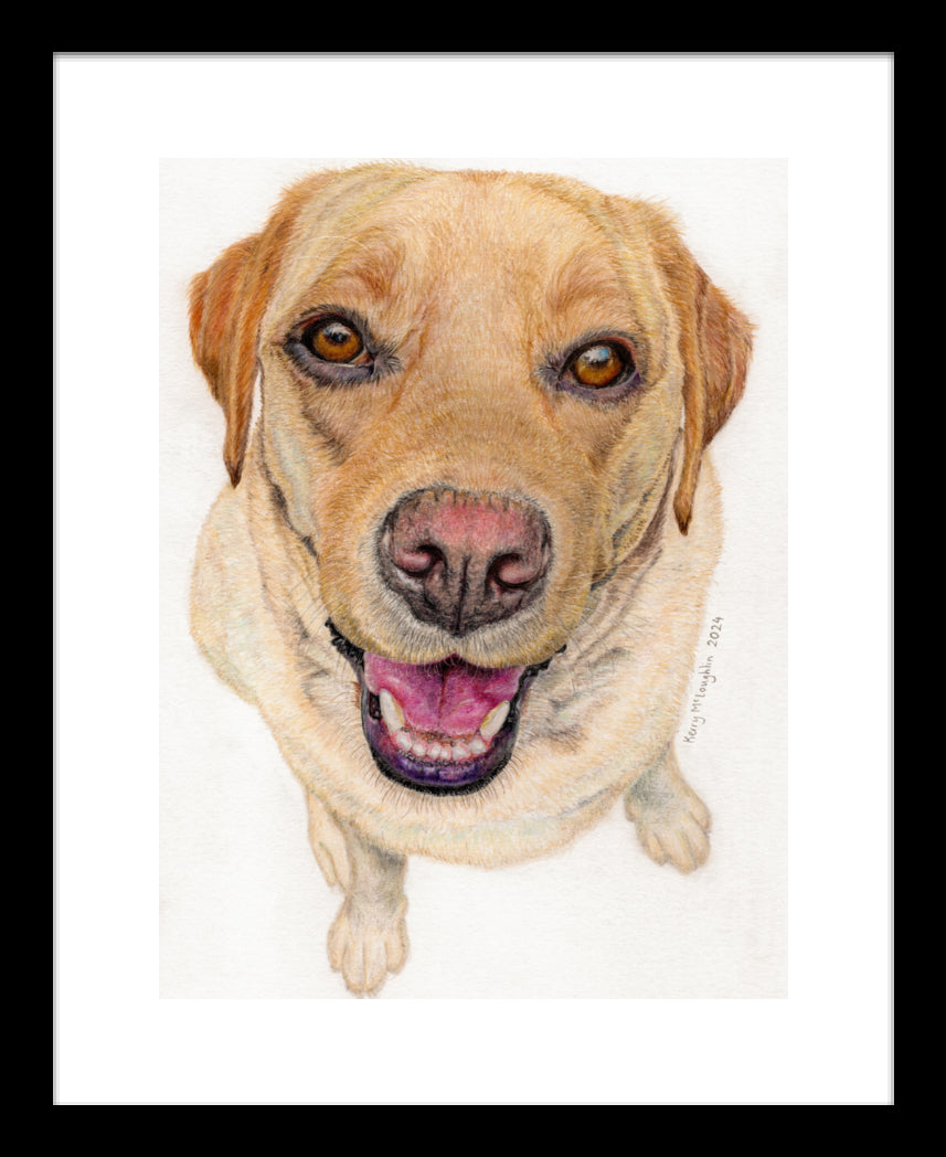 "Sunny" Framed Fine Art Print