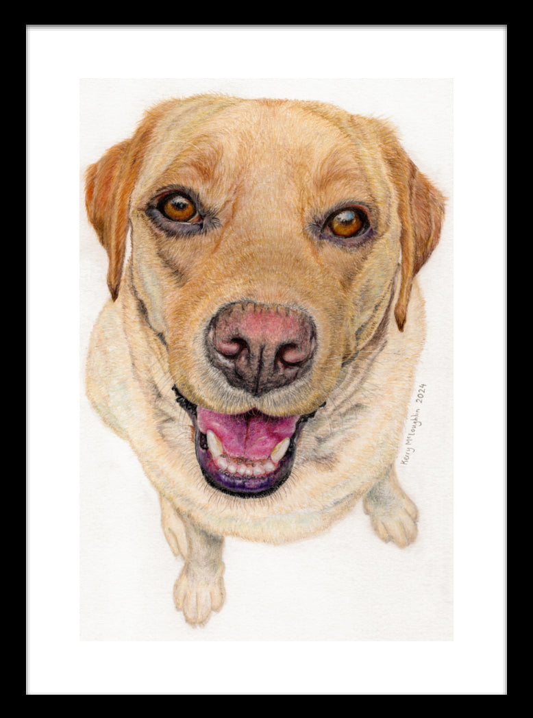 "Sunny" Framed Fine Art Print