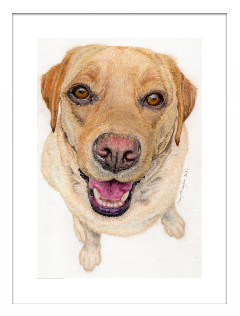 "Sunny" Framed Fine Art Print