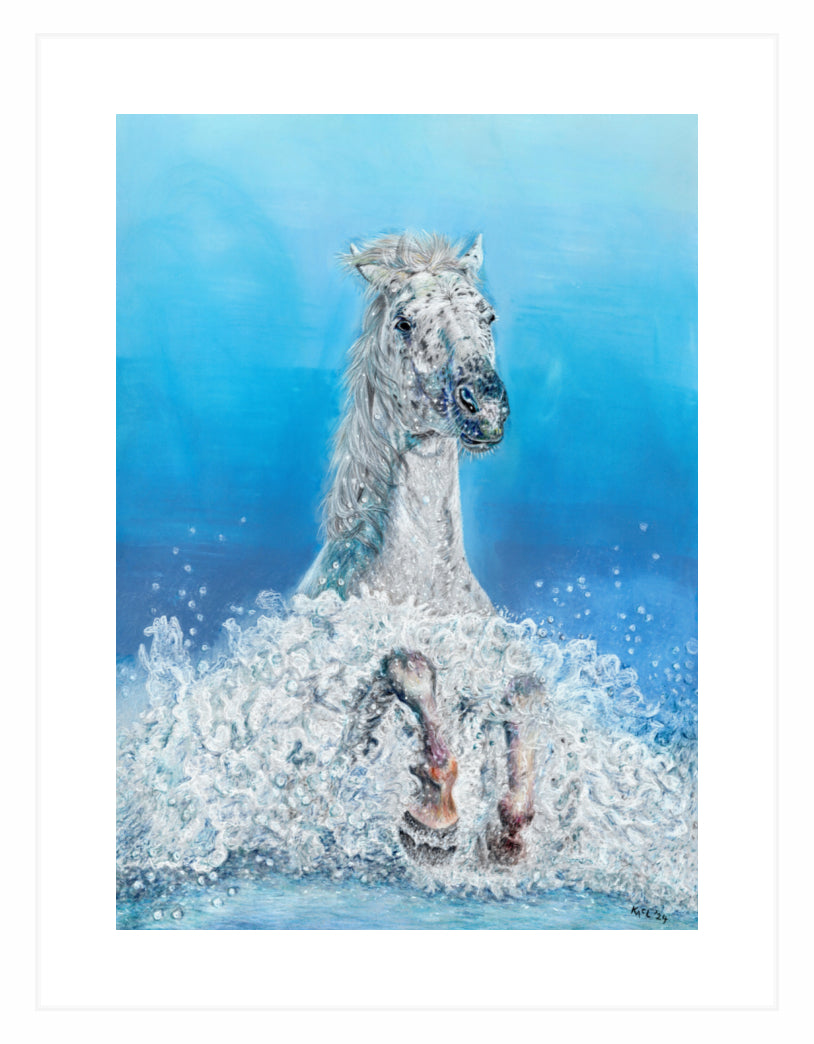 "Swifty" Framed Fine Art Print