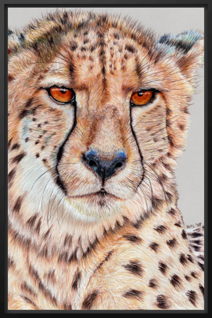 "TISM (This Is Serious Mum)" Canvas Print