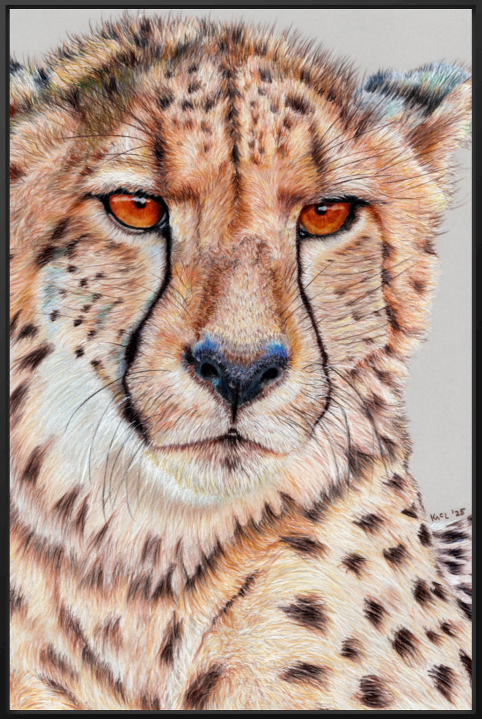 "TISM (This Is Serious Mum)" Canvas Print