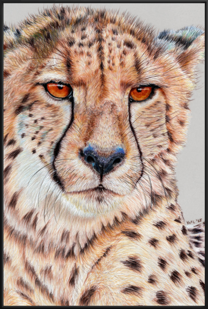 "TISM (This Is Serious Mum)" Canvas Print