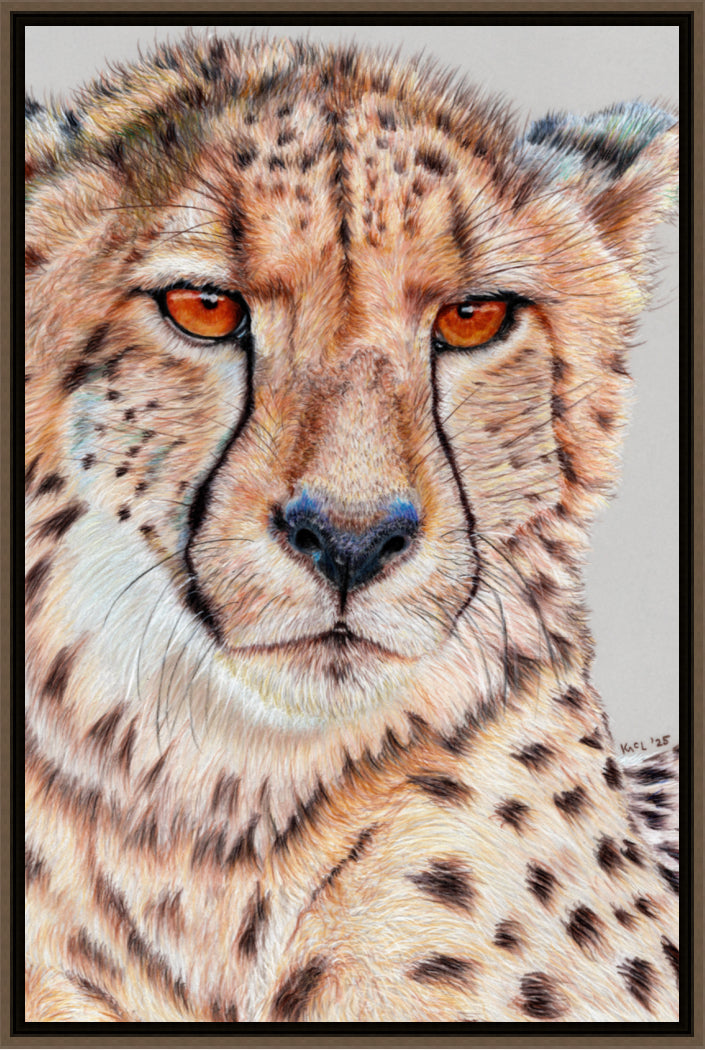 "TISM (This Is Serious Mum)" Canvas Print