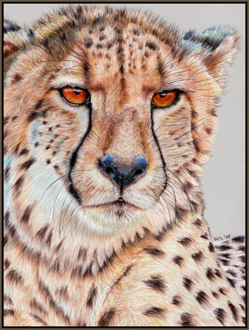 "TISM (This Is Serious Mum)" Canvas Print