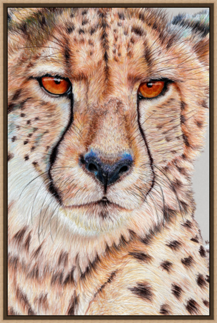 "TISM (This Is Serious Mum)" Canvas Print