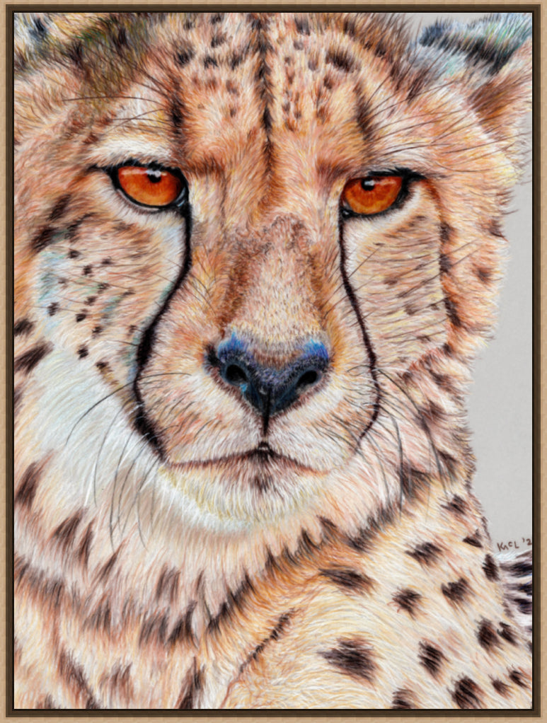 "TISM (This Is Serious Mum)" Canvas Print