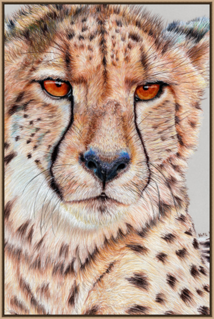 "TISM (This Is Serious Mum)" Canvas Print