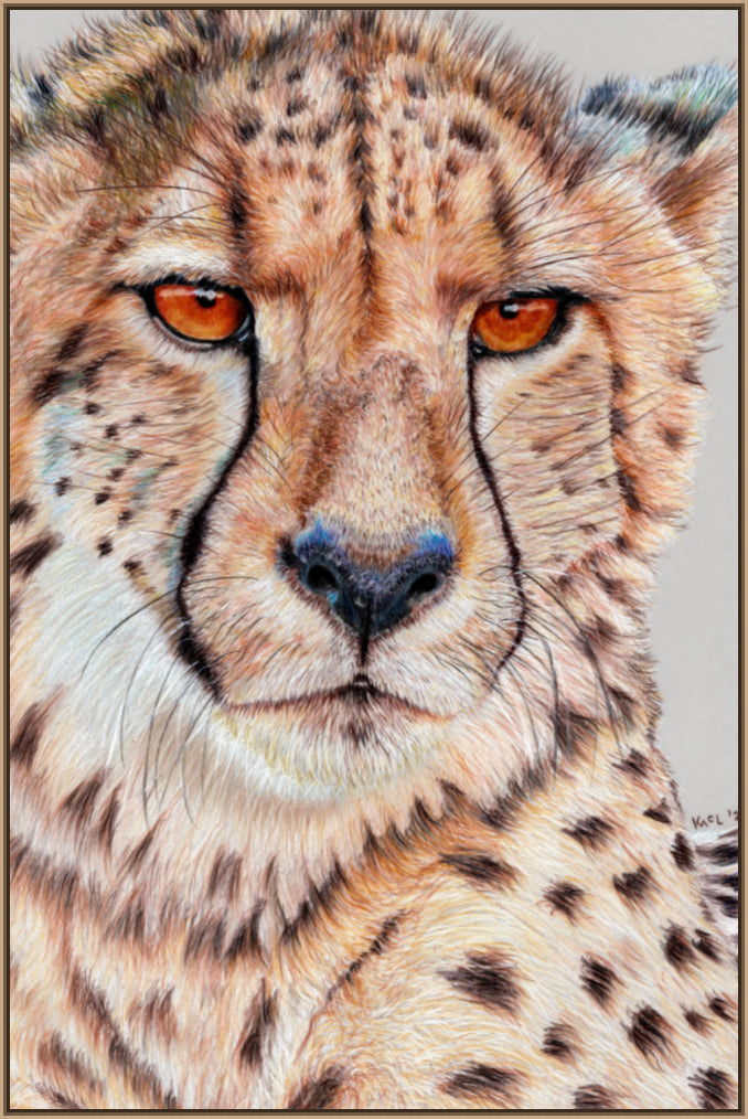 "TISM (This Is Serious Mum)" Canvas Print