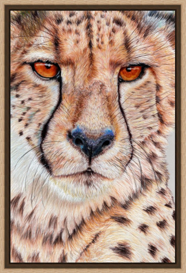 "TISM (This Is Serious Mum)" Canvas Print