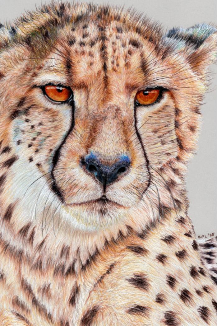 "TISM (This Is Serious Mum)" Canvas Print