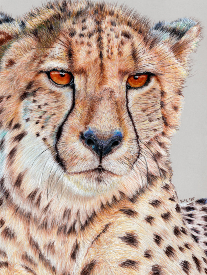 "TISM (This Is Serious Mum)" Canvas Print