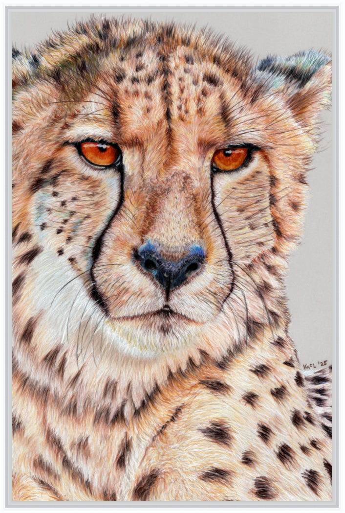 "TISM (This Is Serious Mum)" Canvas Print