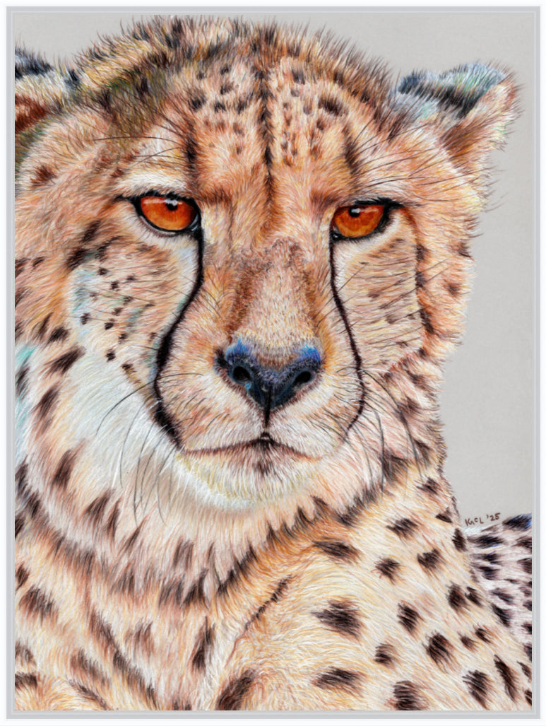 "TISM (This Is Serious Mum)" Canvas Print