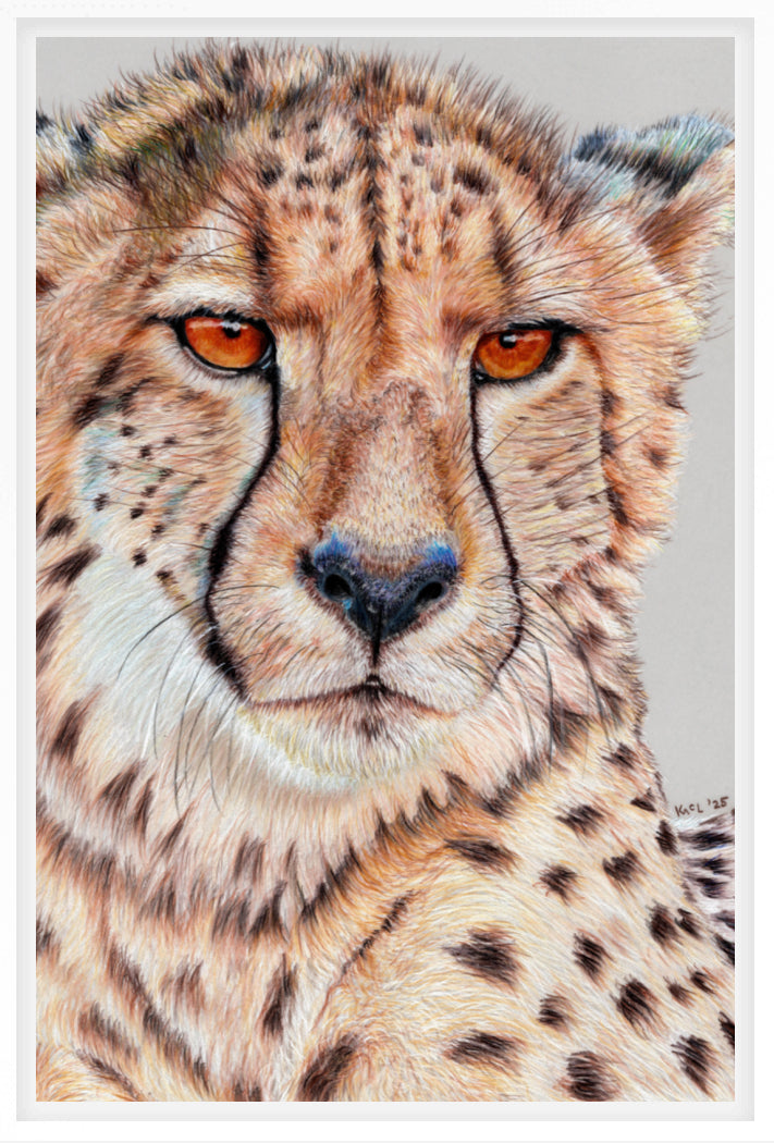 "TISM (This Is Serious Mum)" Canvas Print