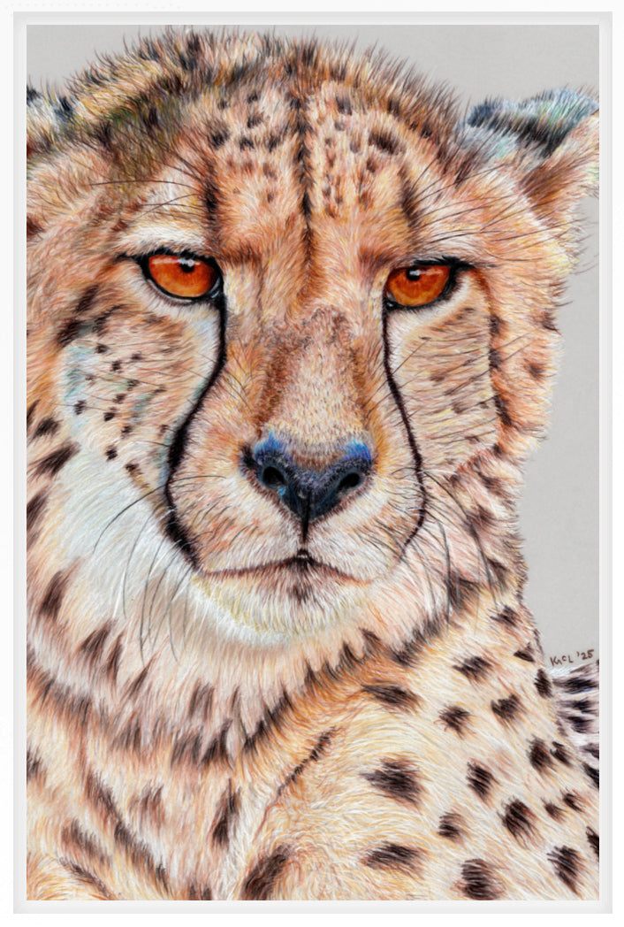 "TISM (This Is Serious Mum)" Canvas Print