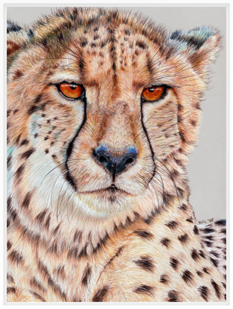 "TISM (This Is Serious Mum)" Canvas Print