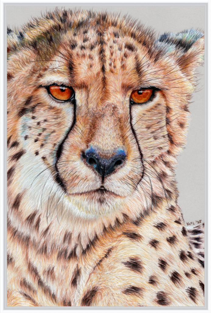 "TISM (This Is Serious Mum)" Canvas Print