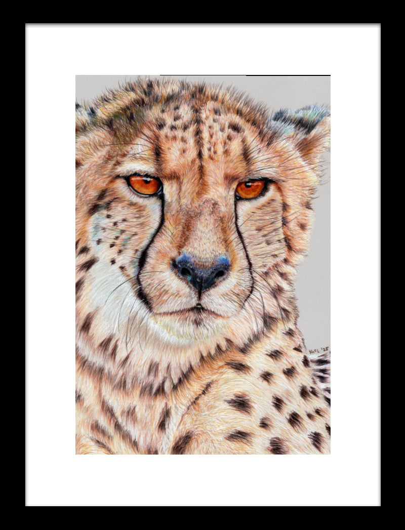 "TISM (This Is Serious Mum)" Framed Fine Art Print