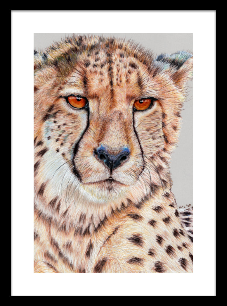 "TISM (This Is Serious Mum)" Framed Fine Art Print