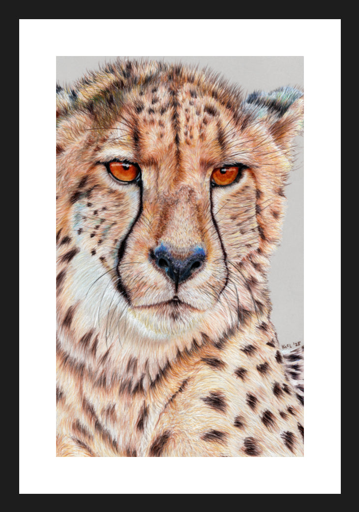 "TISM (This Is Serious Mum)" Framed Fine Art Print