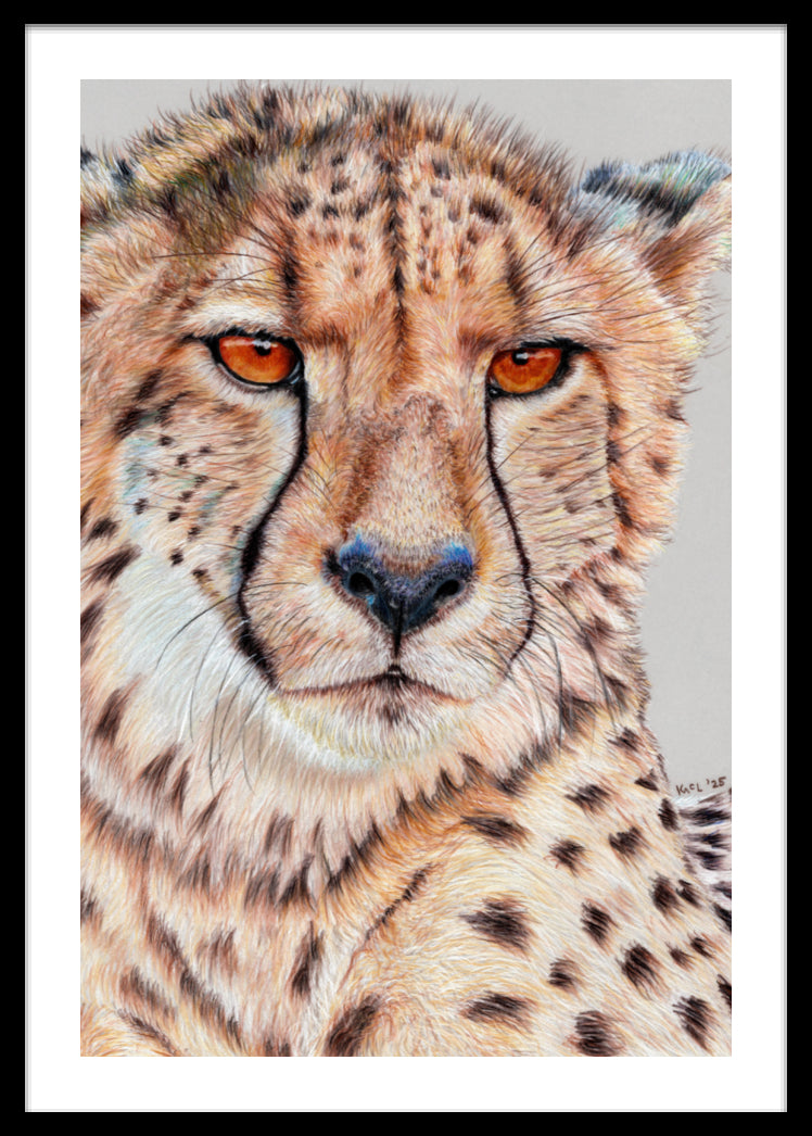 "TISM (This Is Serious Mum)" Framed Fine Art Print