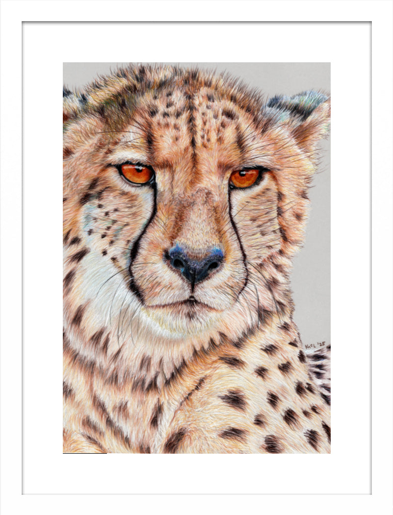 "TISM (This Is Serious Mum)" Framed Fine Art Print