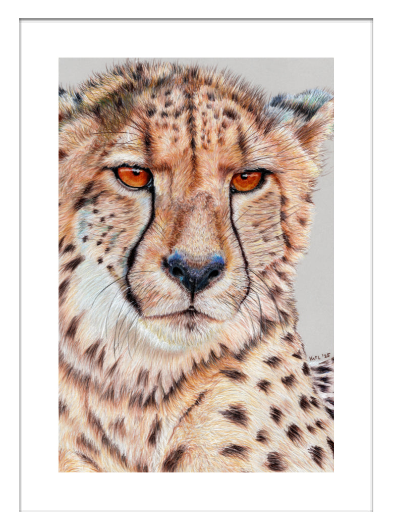 "TISM (This Is Serious Mum)" Framed Fine Art Print