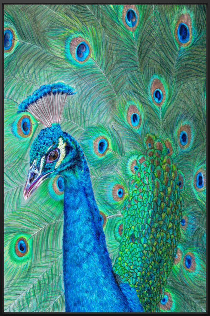 "The Eyes Have It" Canvas Print